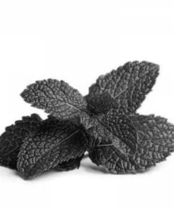 Black Mint (Fantasy)