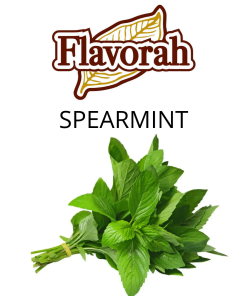 Spearmint (Flavorah) - пищевой ароматизатор Flavorah, вкус Мята купить оптом ароматизатор Флавора Spearmint (Flavorah)