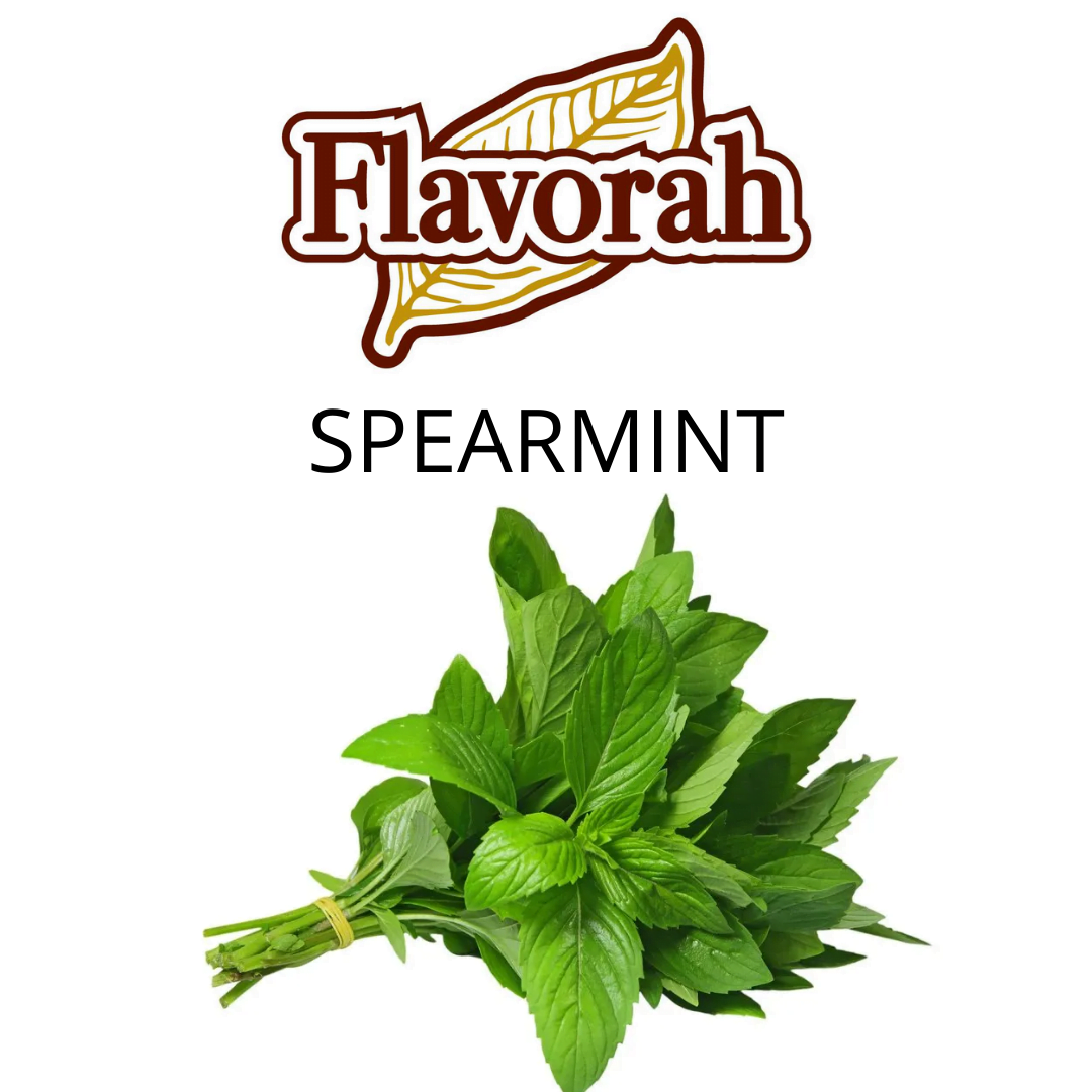 Spearmint (Flavorah) - пищевой ароматизатор Flavorah, вкус Мята купить оптом ароматизатор Флавора Spearmint (Flavorah)