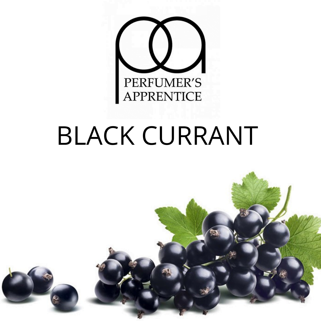 Black Currant (TPA) - пищевой ароматизатор TPA/TFA, вкус Черная смородина купить оптом ароматизатор ТПА / ТФА Black Currant (TPA)
