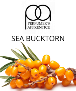 Sea Bucktorn (TPA) - пищевой ароматизатор TPA/TFA, вкус Облепиха купить оптом ароматизатор ТПА / ТФА Sea Bucktorn (TPA)
