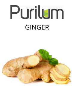 Ginger (Purilum) - пищевой ароматизатор Purilum, вкус Имбирь купить оптом ароматизатор Пурилум Ginger (Purilum)