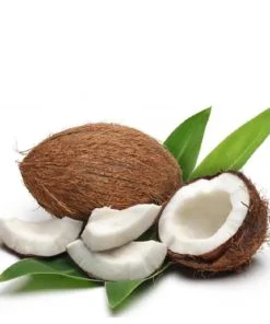 Coconut (Fantasy)