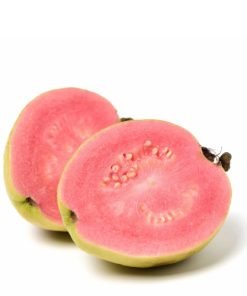 Pink Guava (Fantasy)
