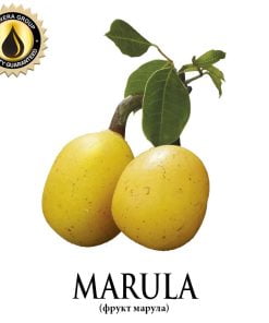 Marula (Inawera)