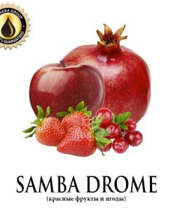Samba Drome (Inawera)
