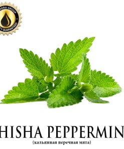 Shisha Peppermint (Inawera)