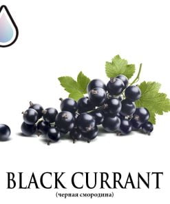 Black Currant V2 (DF)