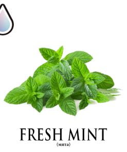 Fresh Mint (DF)