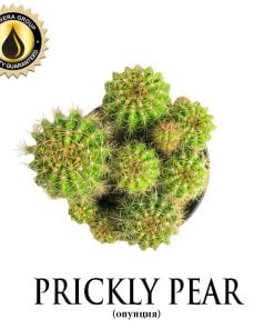 Prickly Pear (Inawera)