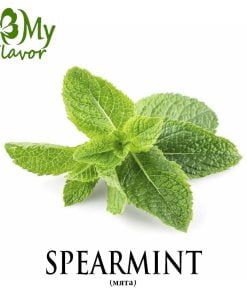 Spearmint (My Flavor)